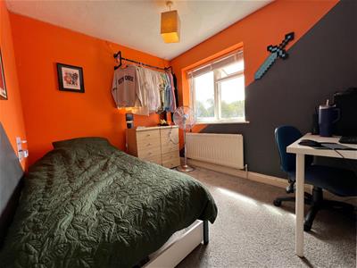 Picture 17